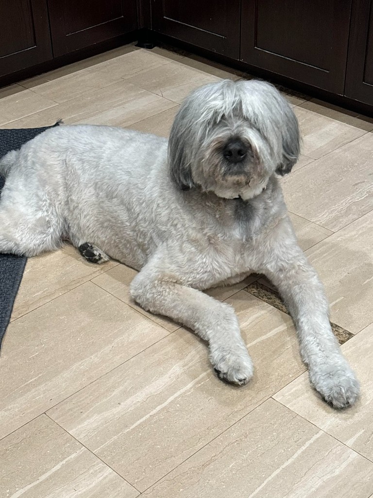 Samson